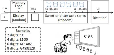 Memory Load Influences Taste Sensitivities
